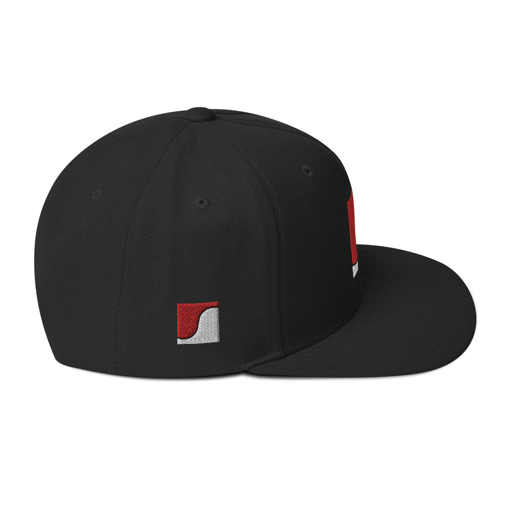 Balance - Snapback Hat