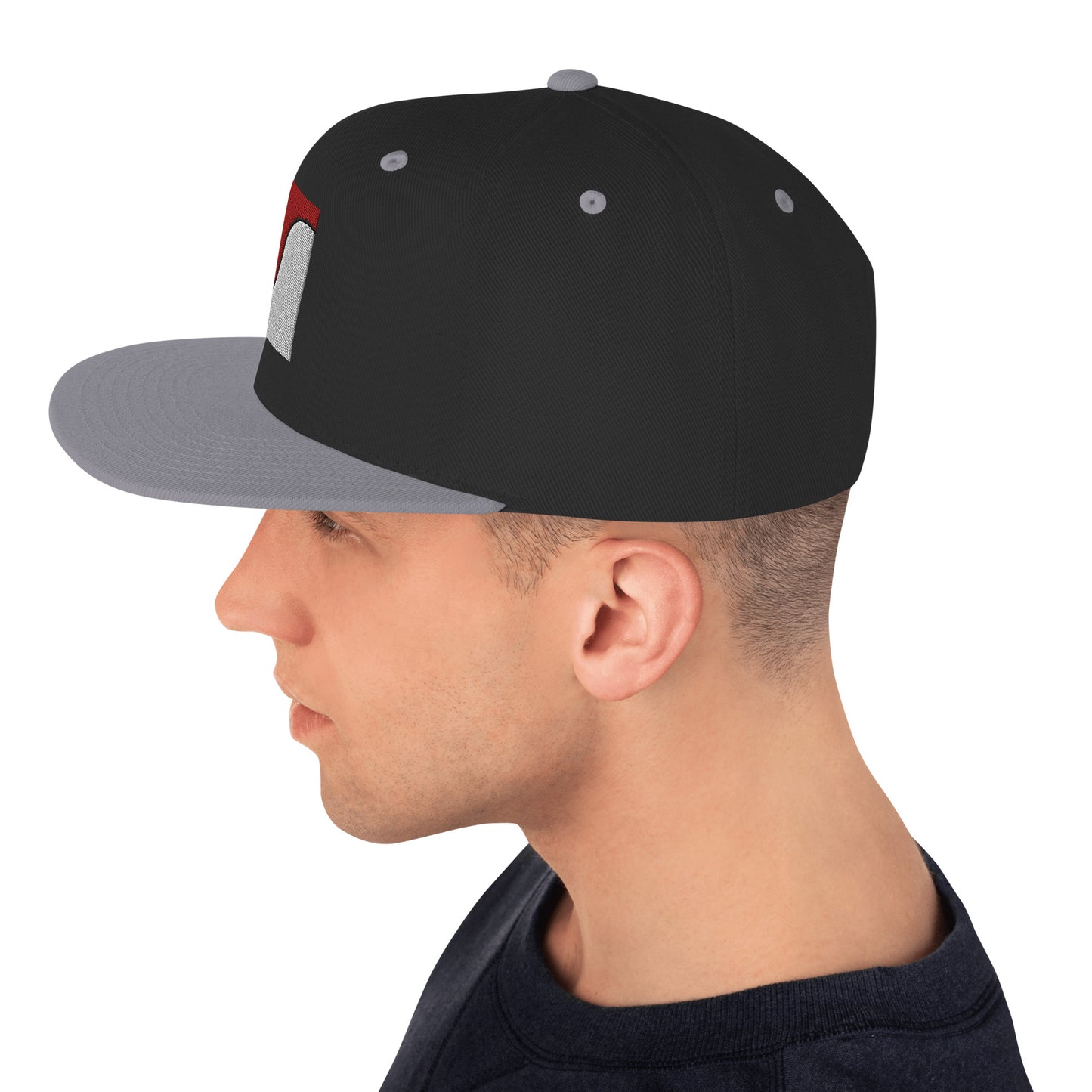 Balance - Snapback Hat