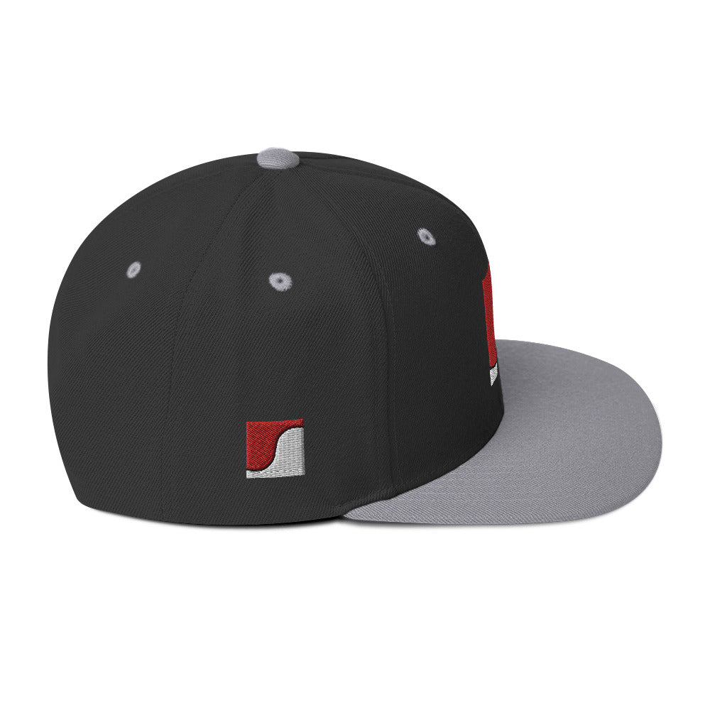 Balance - Snapback Hat